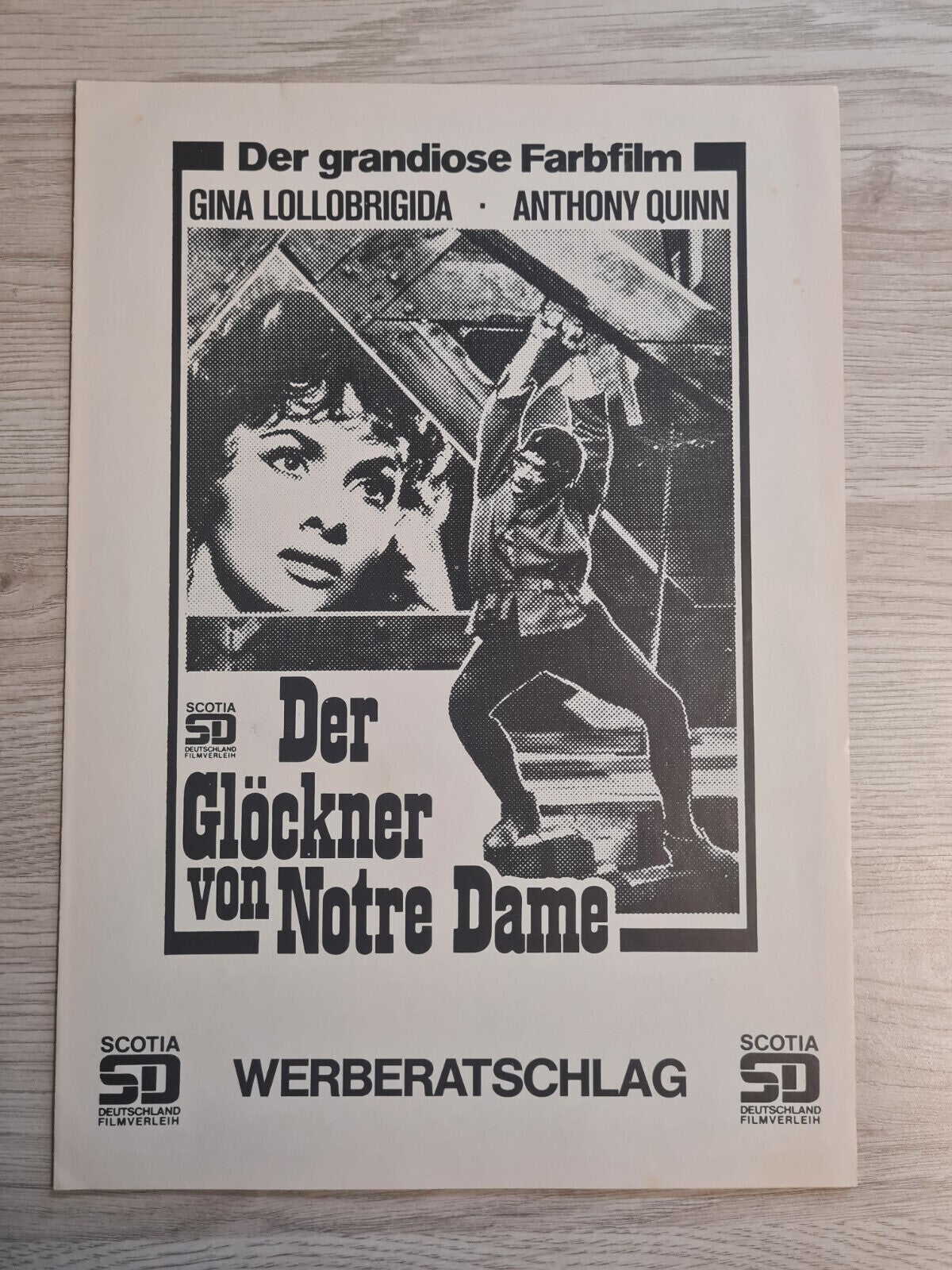 Scotia SD - Werbe Ratschlag - Der Glöckner von Notre Dame