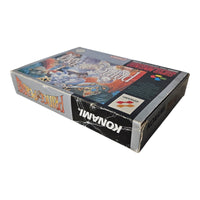 Prince of Persia - Super Nintendo / SNES