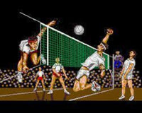 Volleyball Simulator - Commodore Amiga - Nur Diskette
