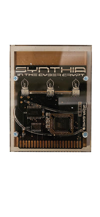 Synthia in the cyber Crypt - Commodore 64