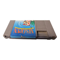 NES OPEN - Tournament Golf   - Nintendo NES - Nur Modul