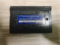 The Lion King - Sega Master System - Nur Cartridge