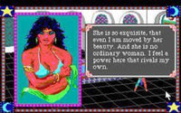 Conquest of the Camelot - The Search for the..  - Commodore Amiga - Nur Diskette
