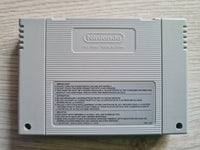NHL 96 - Super  Nintendo - SNES