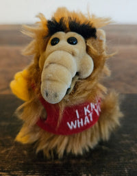 ALF Klammer Figur