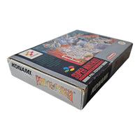 Prince of Persia - Super Nintendo / SNES