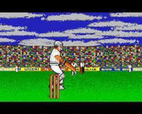 World Cricket - Commodore Amiga - Nur Diskette