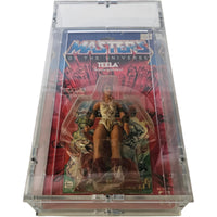 Teela Masters of The Universe - 1982 - Mattel - NEU / Sealed in BOX - Toys